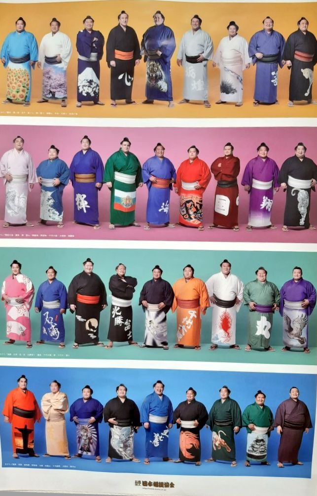2017年大相撲
